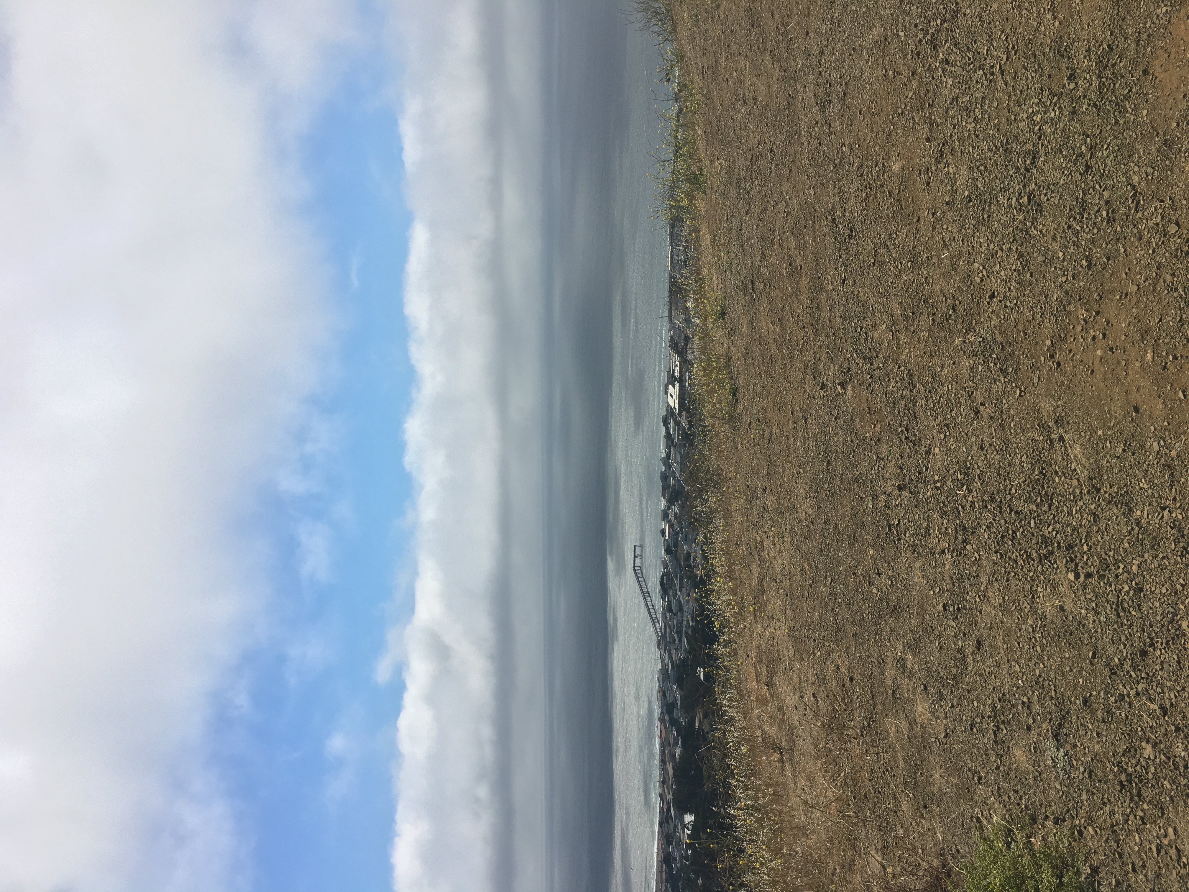 Milagra Overlook Trail