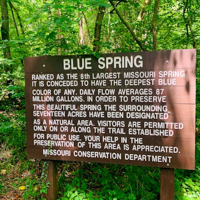 Hike to Blue Spring