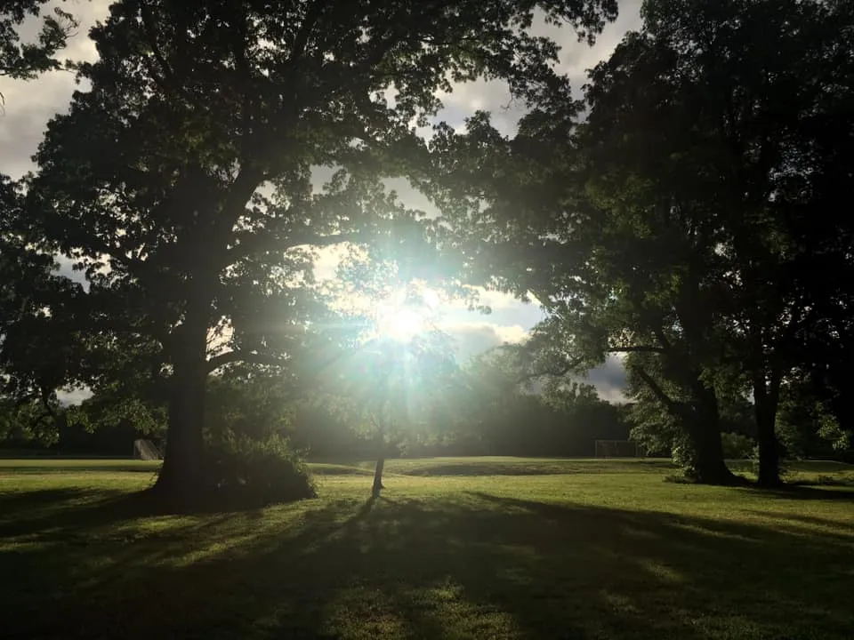 Walk the Bryan Park Azalea Gardens