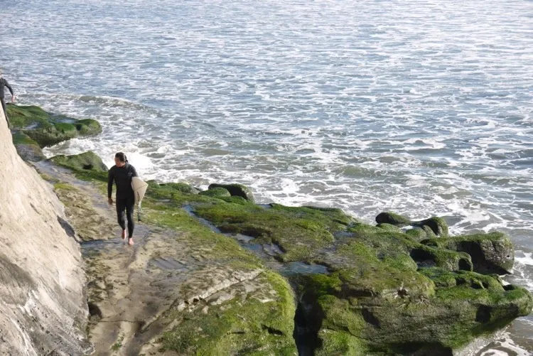 Surf the Hook