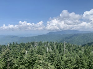 Deep Creek to Clingmans Dome Loop 