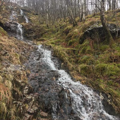 Explore Ft. William, Scotland's Steall Gorge