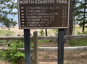 Hike the Harlow Lake Loop Trail 