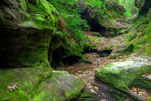Hike the Little Grand Canyon Trail