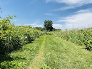 Hike the Ice Age Junction Trail portion of the Ice Age Trail