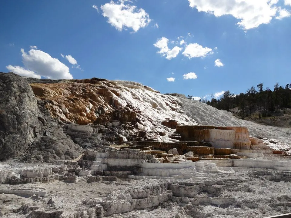 Mammoth Hot Springs