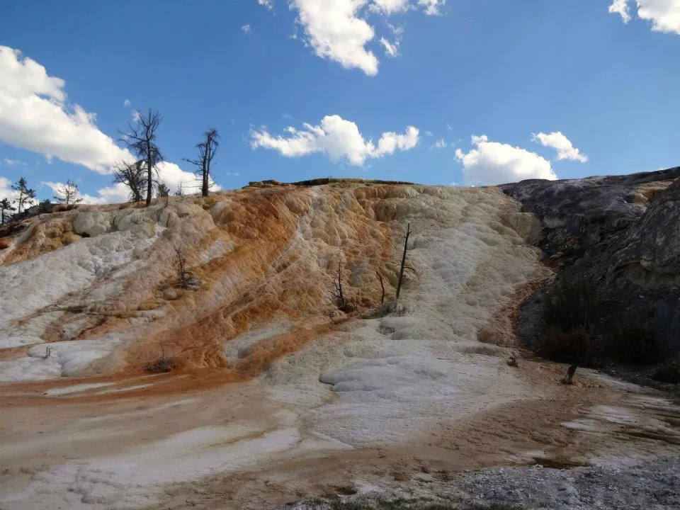Mammoth Hot Springs