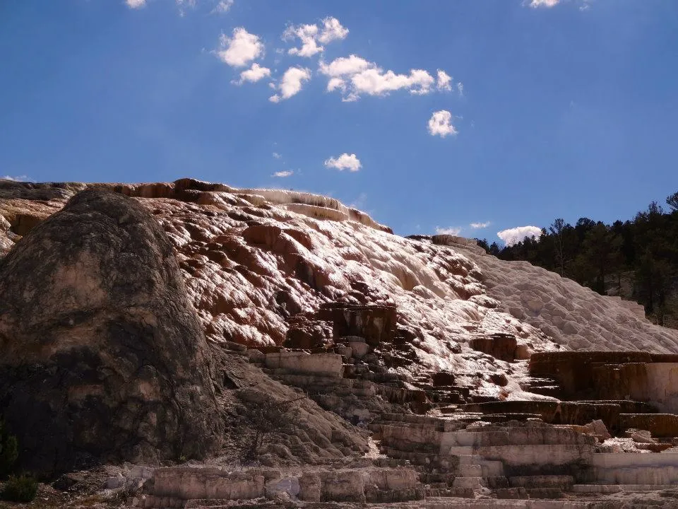 Mammoth Hot Springs