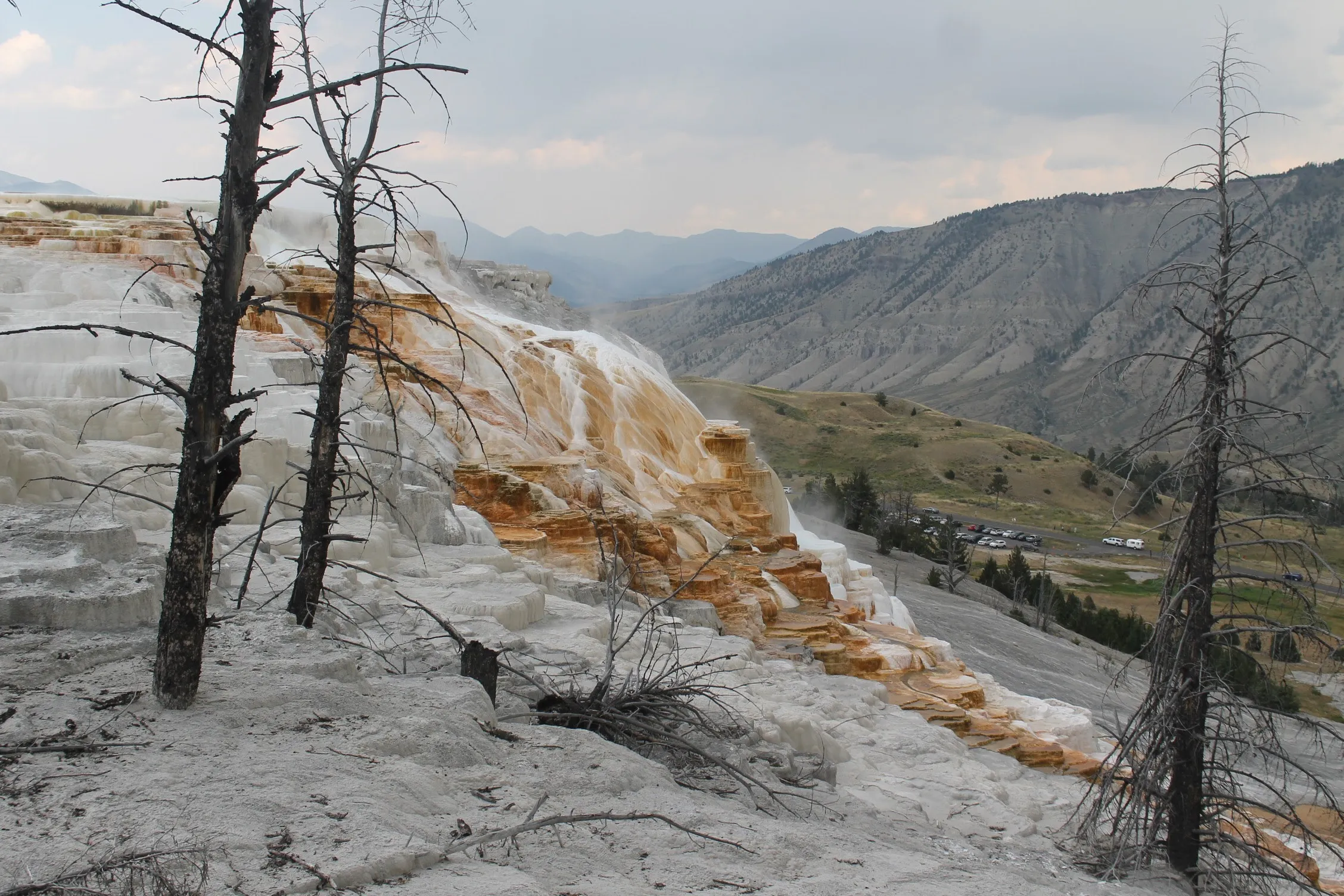 Mammoth Hot Springs