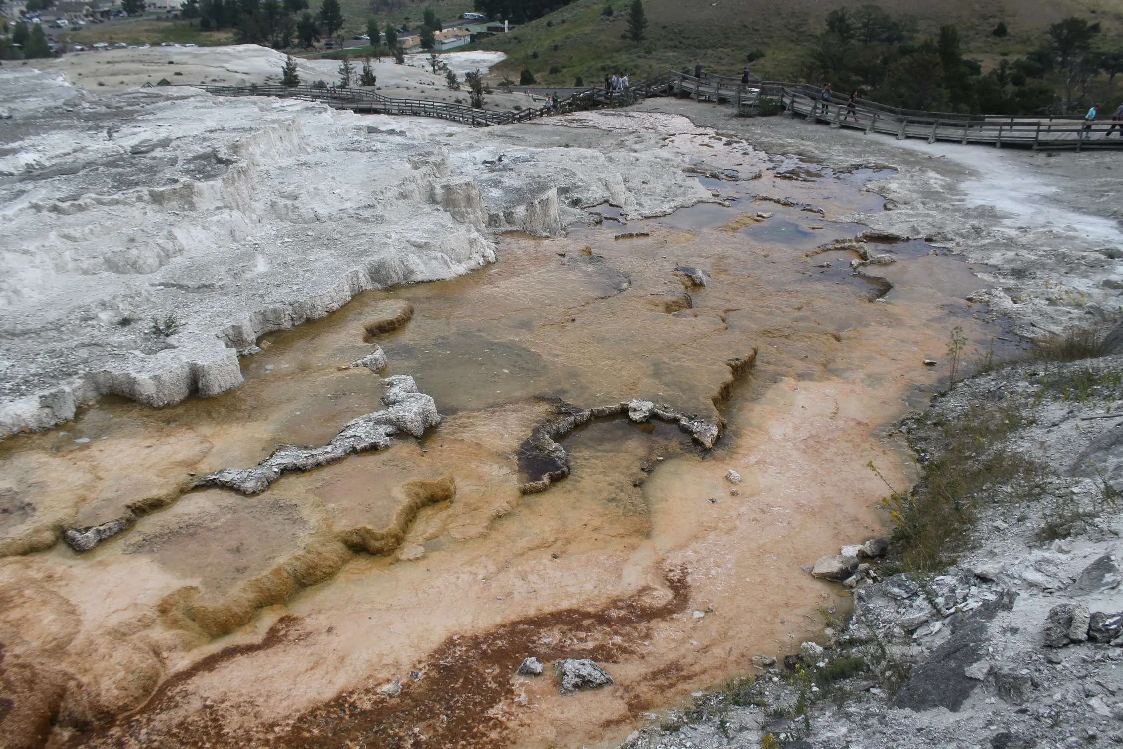 Mammoth Hot Springs