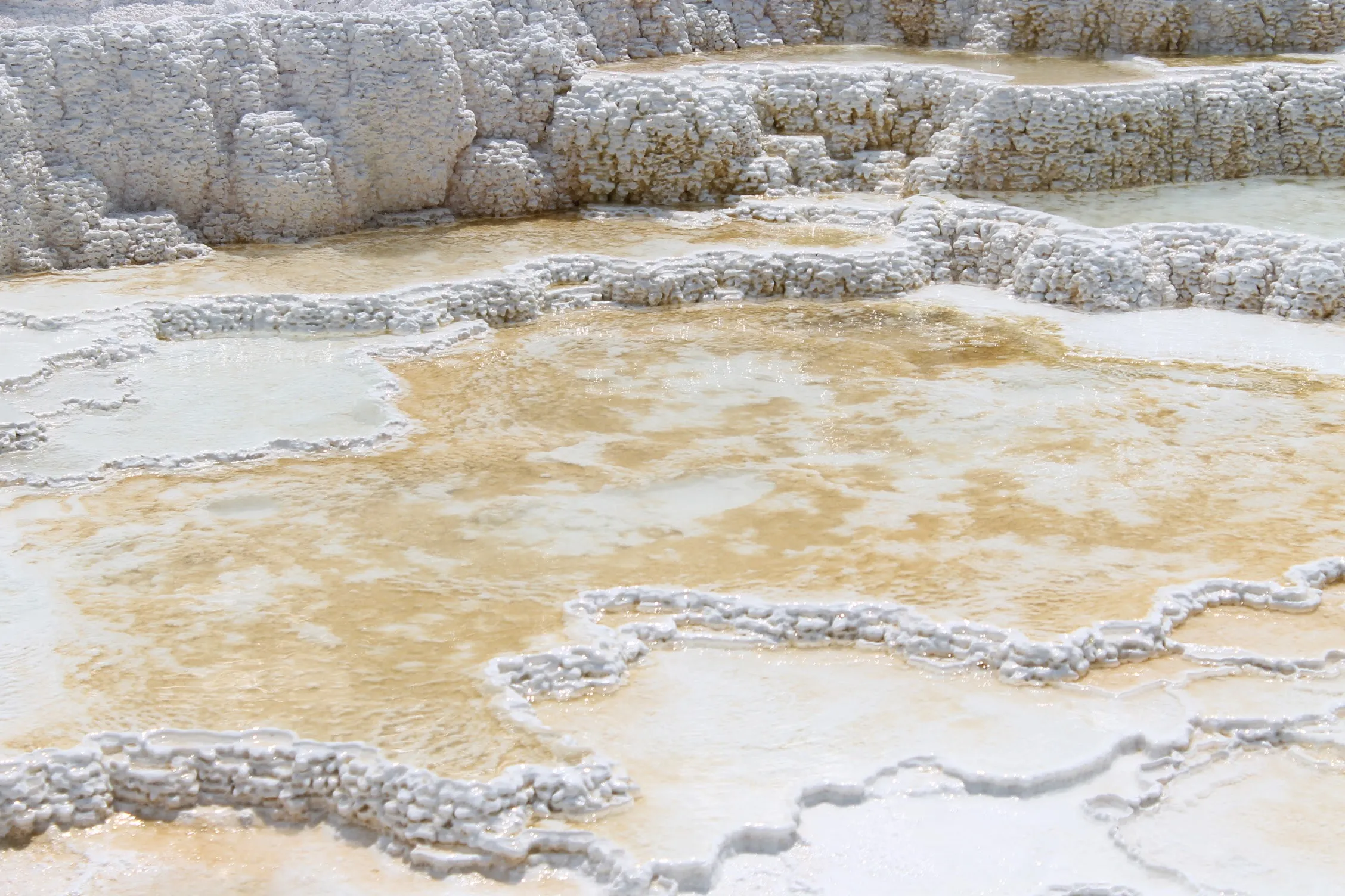 Mammoth Hot Springs