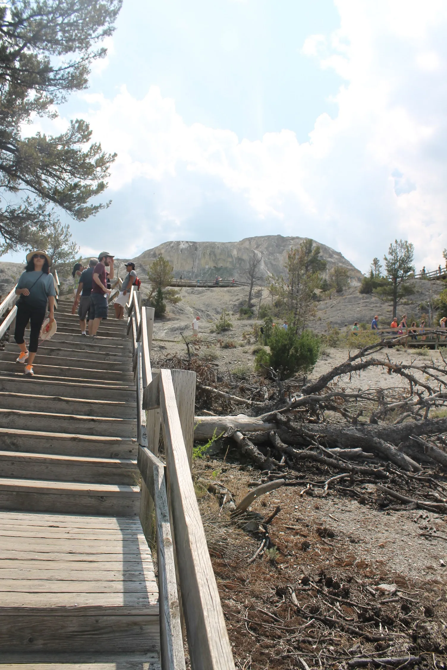 Mammoth Hot Springs