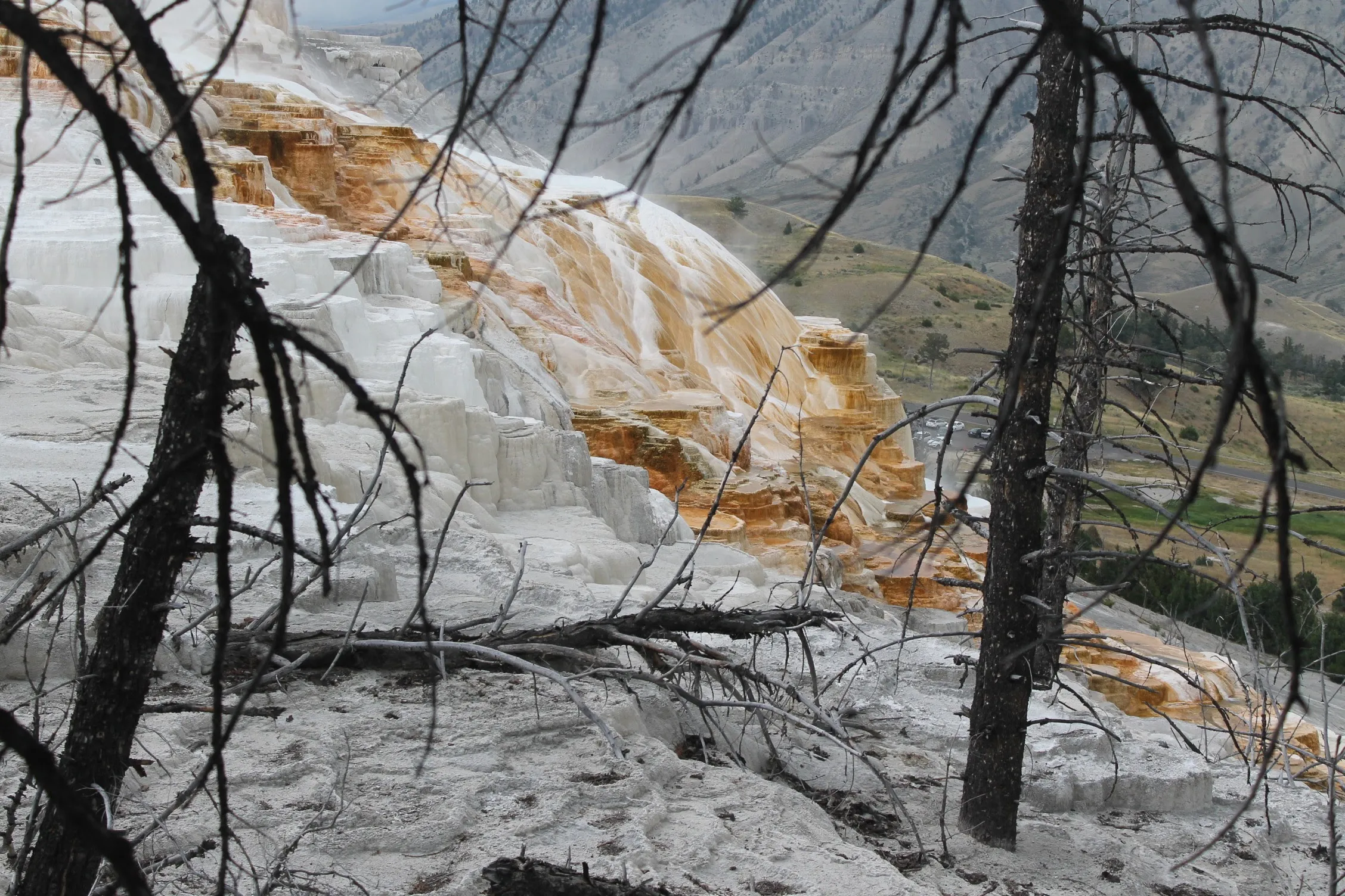 Mammoth Hot Springs