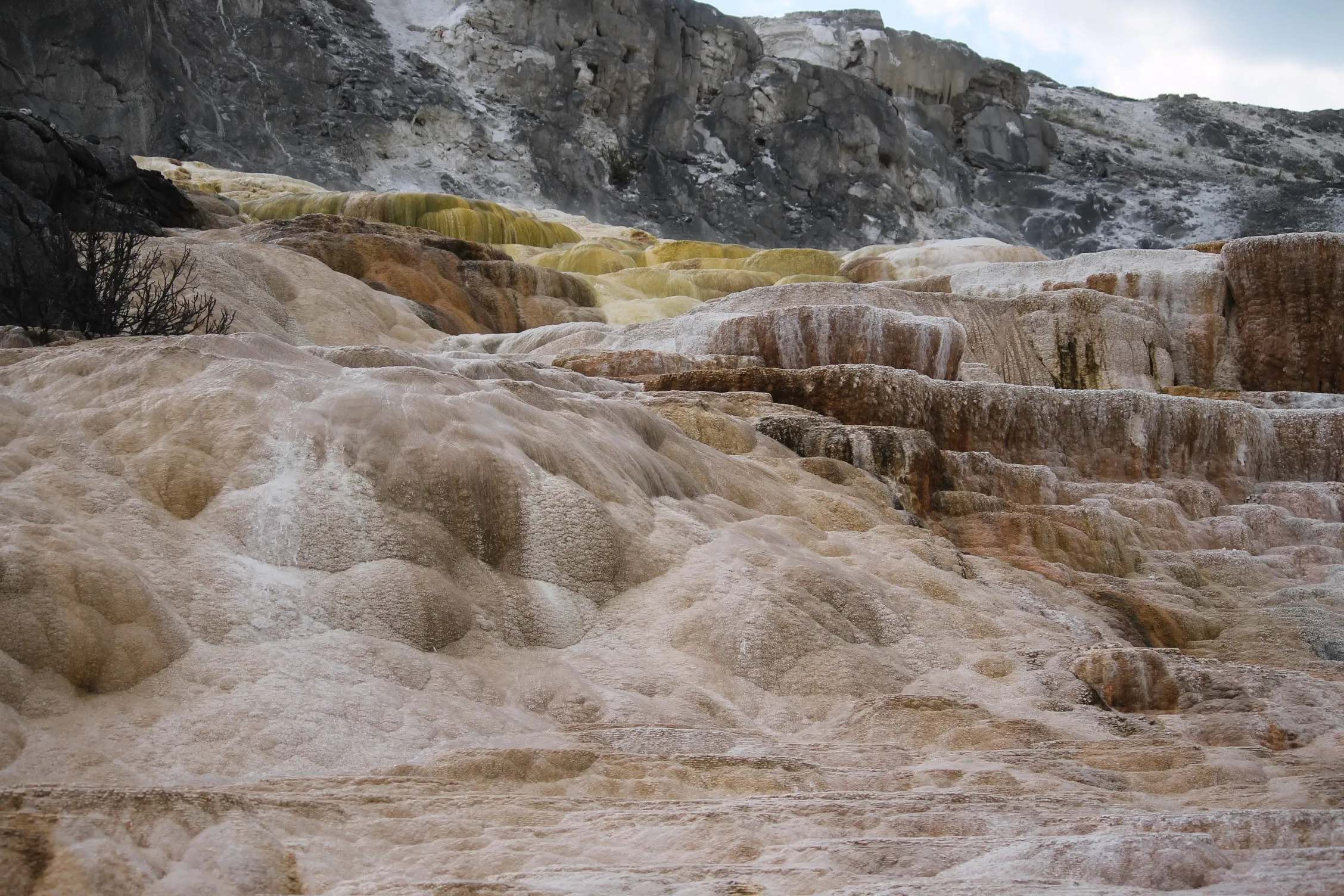 Mammoth Hot Springs