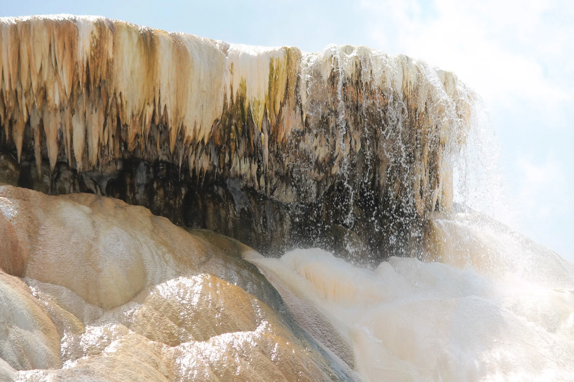 Mammoth Hot Springs