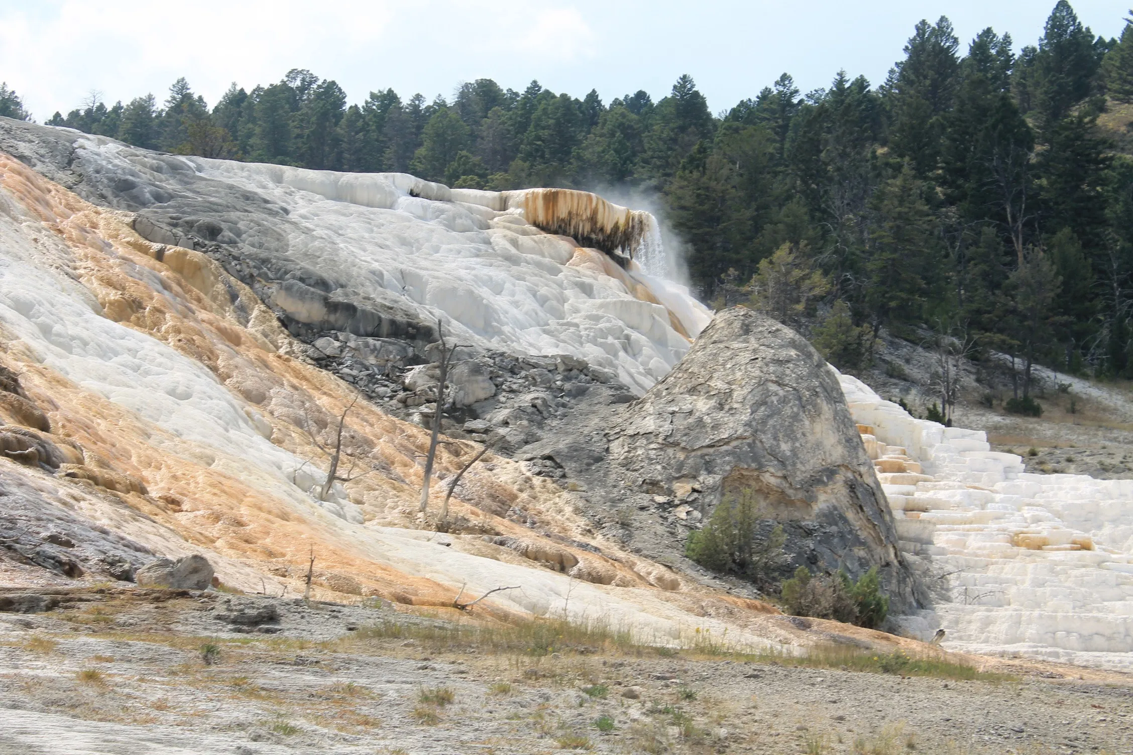 Mammoth Hot Springs