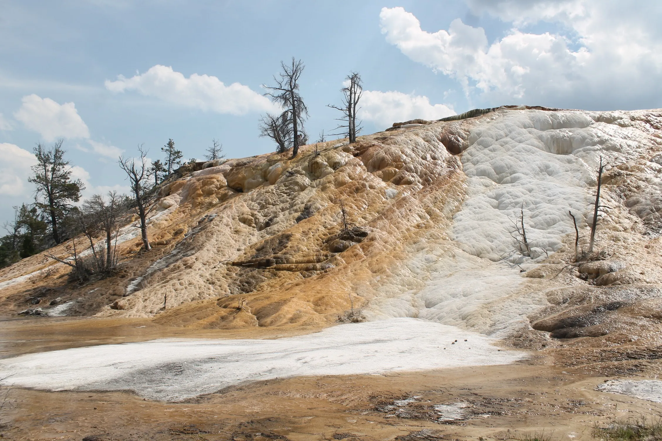 Mammoth Hot Springs
