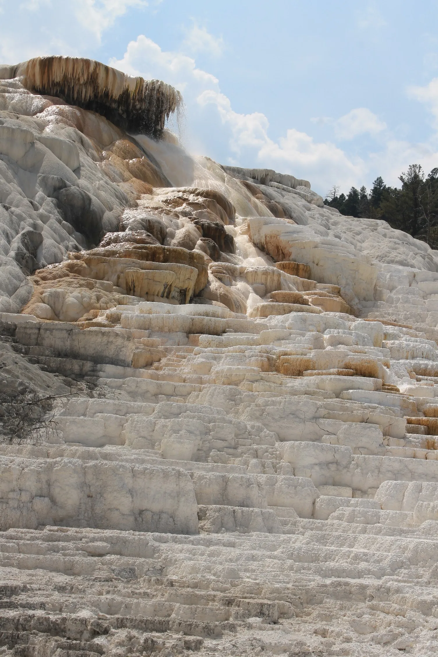 Mammoth Hot Springs
