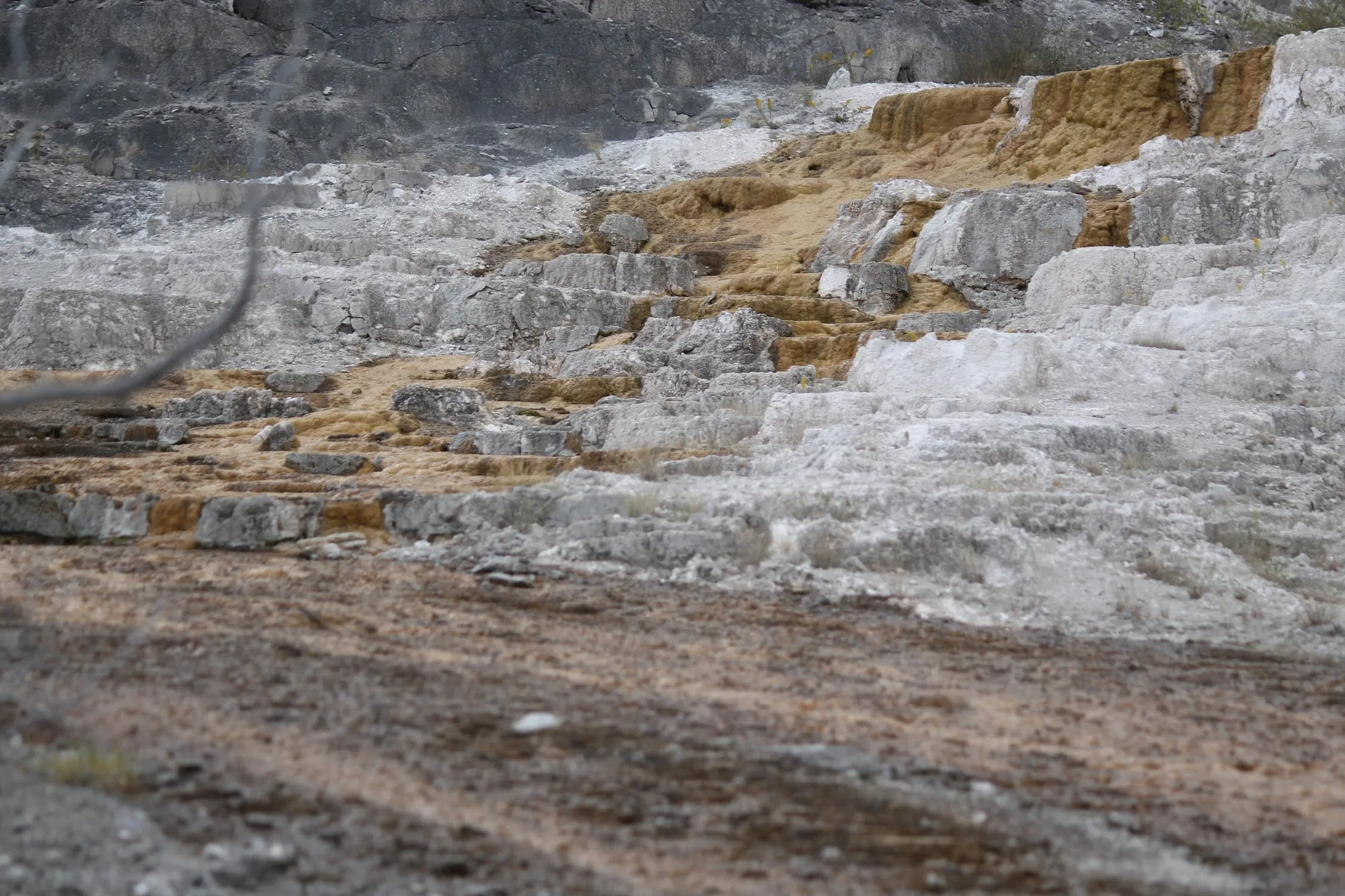 Mammoth Hot Springs