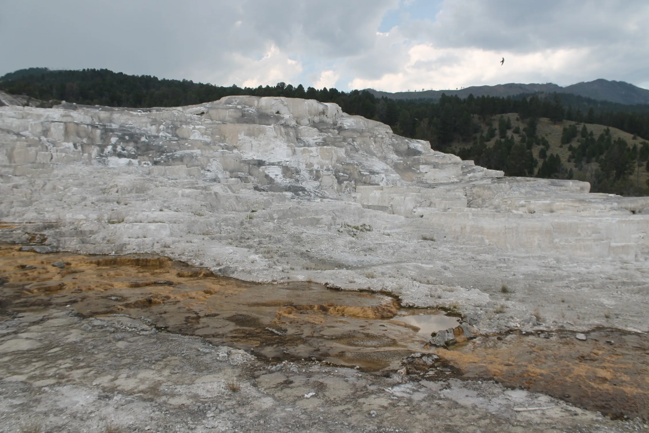 Mammoth Hot Springs