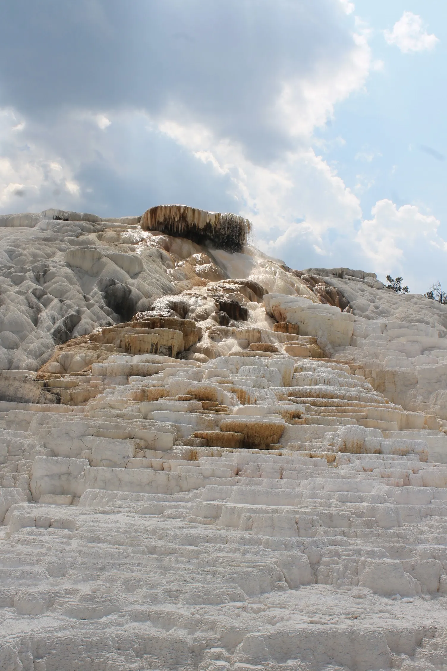 Mammoth Hot Springs