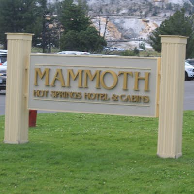 Explore Mammoth Hot Springs