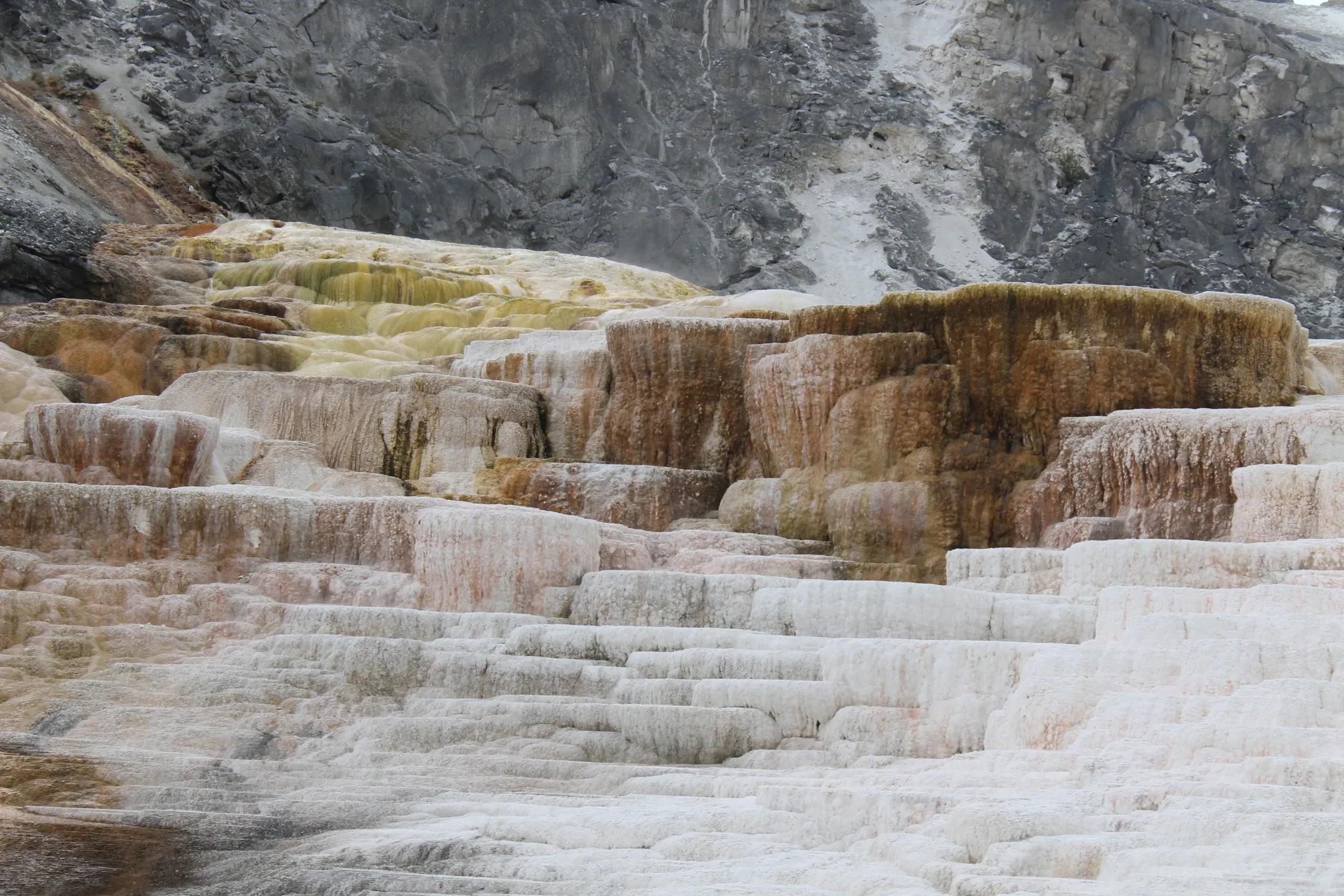Mammoth Hot Springs