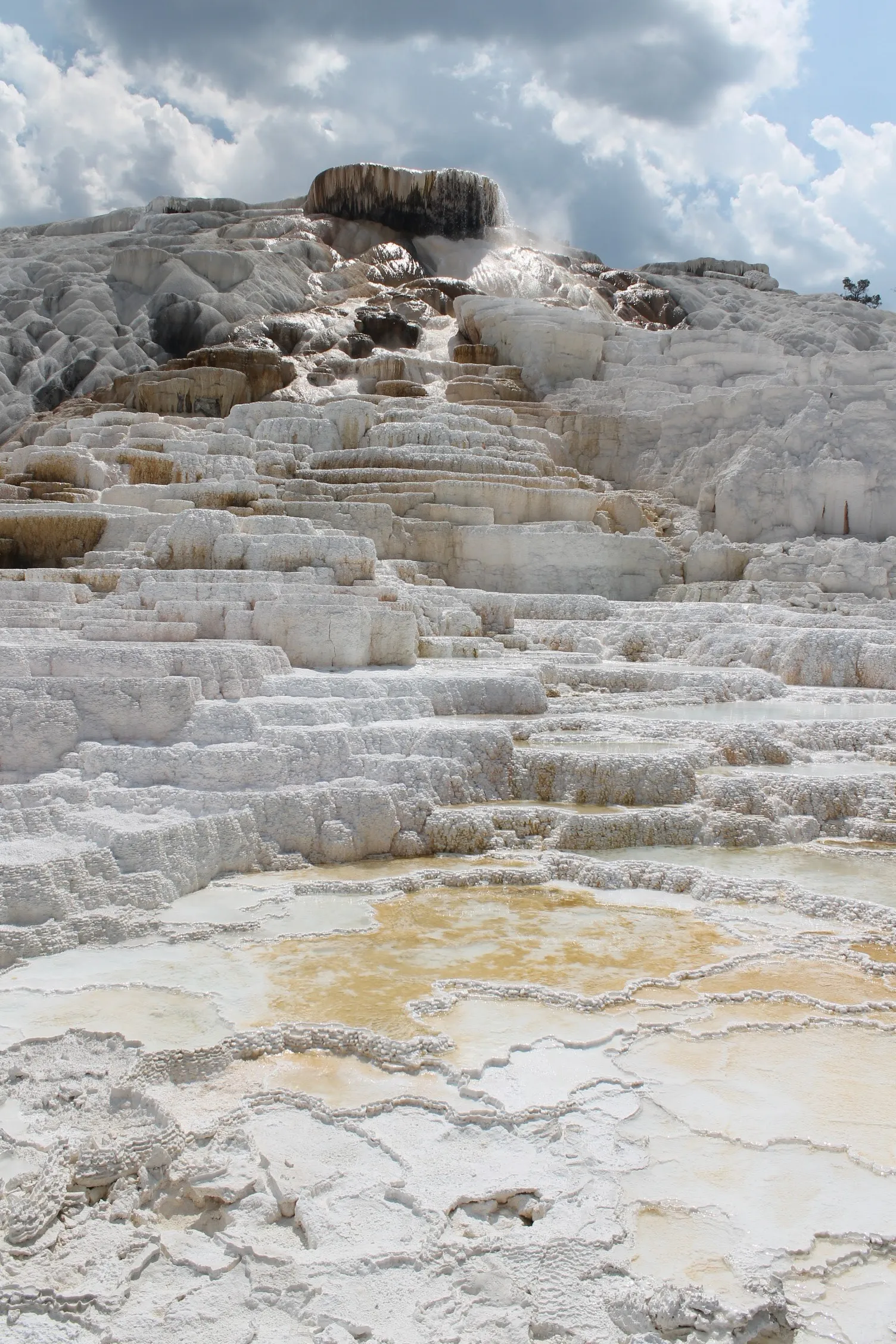 Mammoth Hot Springs