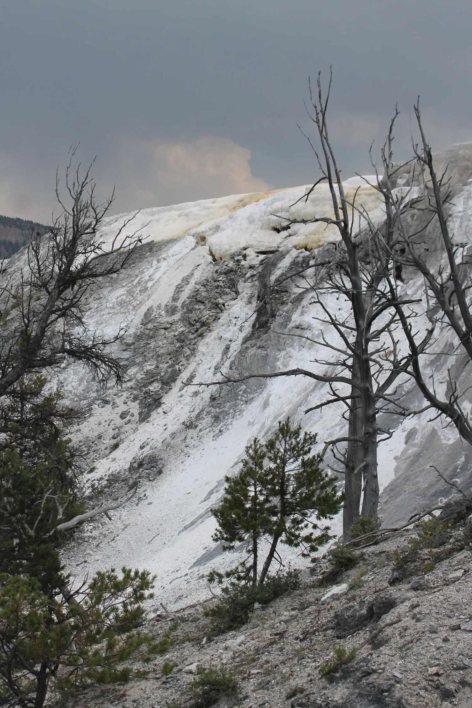 Mammoth Hot Springs