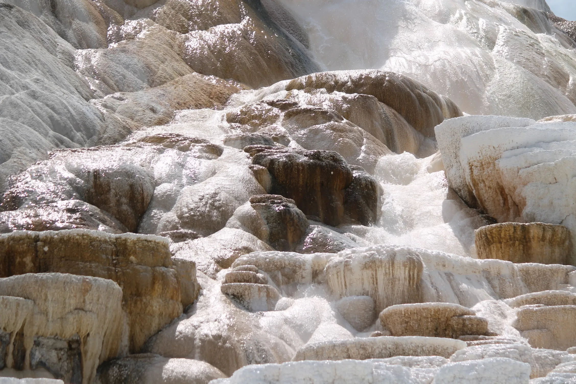Mammoth Hot Springs