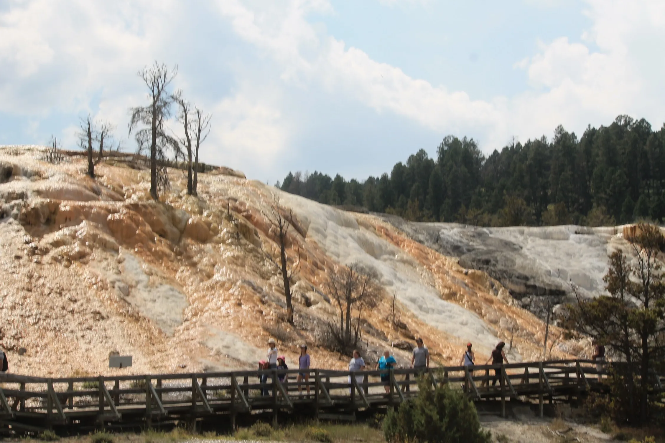 Mammoth Hot Springs