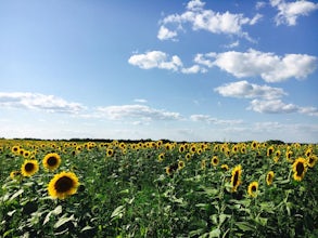 Hike through Pope Farm Conservancy