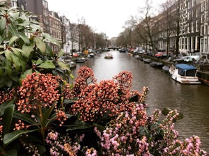 Explore the Canals of Amsterdam