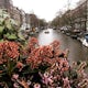 Explore the Canals of Amsterdam