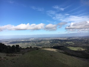 Windy Hill Loop