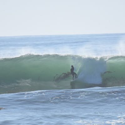 Surf Four Mile Beach