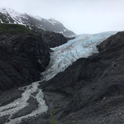 Hike Exit Glacier