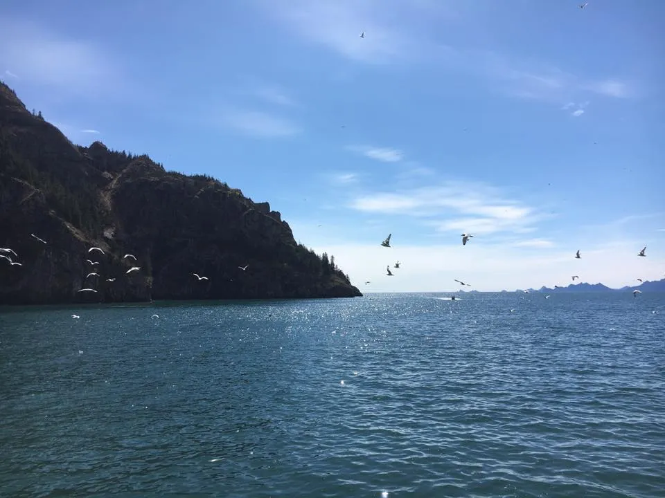 Explore Kenai Fjords National Park