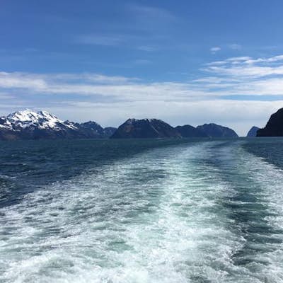Explore Kenai Fjords National Park