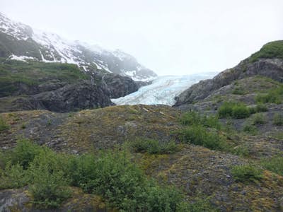 Hike Exit Glacier