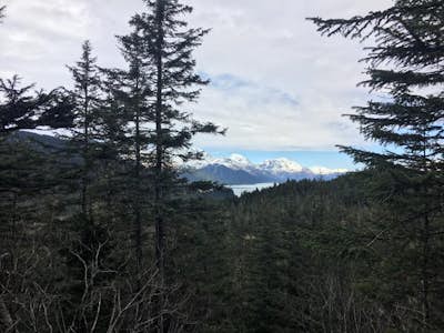 Hike Alpine Trail, Caines Head State Recreation Area