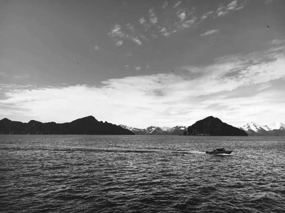 Explore Kenai Fjords National Park