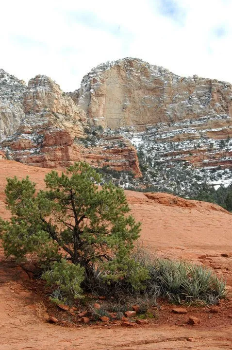 Taking a Jeep Tour of Sedona