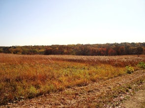 Hiking through Owen Conservation Park 