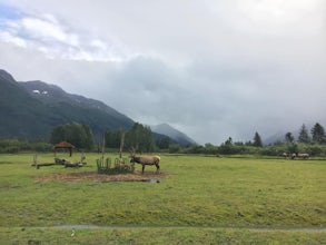 Explore the Alaska Wildlife Conservation Center