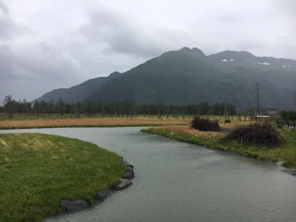 Explore the Alaska Wildlife Conservation Center