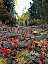 Hike the Mineral Fork Trail