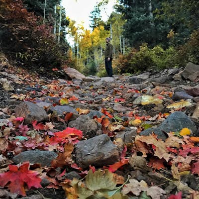Hike the Mineral Fork Trail