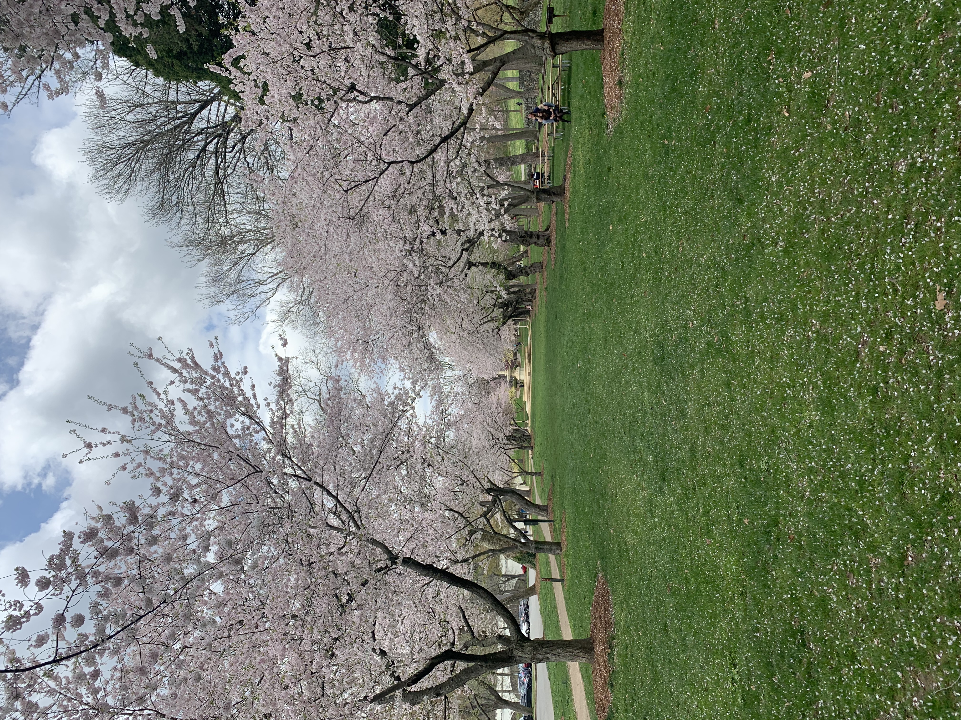 Hike Brandywine Park Loop, Wilmington, Delaware