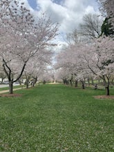 Hike Brandywine Park Loop